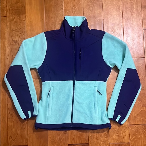 The North Face Jackets & Blazers - The North Face Fleece Polartec Jacket Size XS Green Purple Gorpcore Outdoors